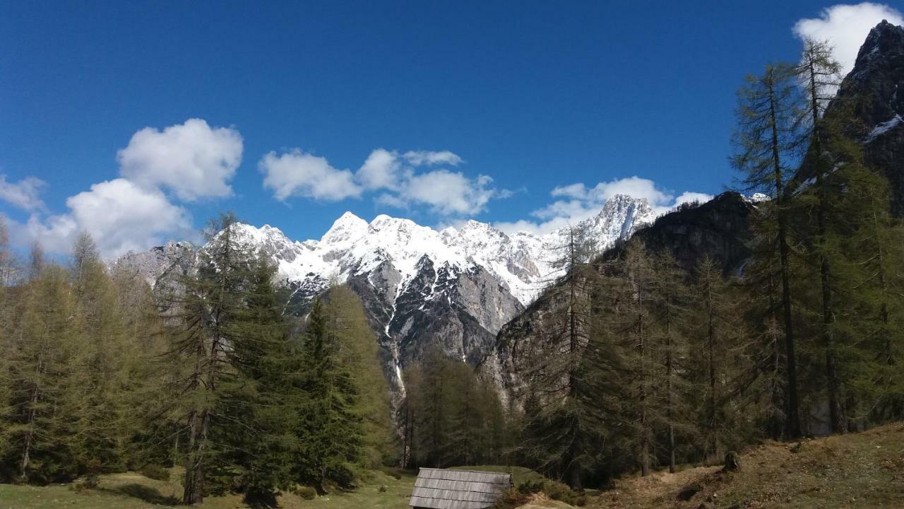 Appleby Apartments Kersnik Bohinj Eksteriør bilde
